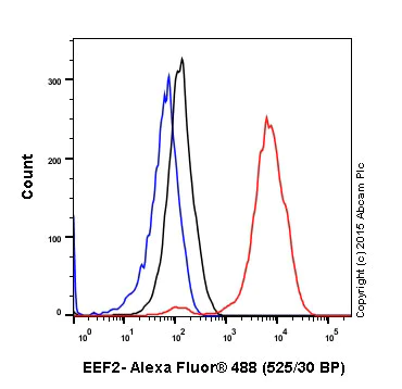 Flow Cytometry (Intracellular) - Anti-EEF2/Elongation factor 2 antibody [EP880Y] - BSA and Azide free (AB247388)