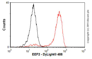 Flow Cytometry (Intracellular) - Anti-EEF2/Elongation factor 2 antibody [EP880Y] - BSA and Azide free (AB247388)