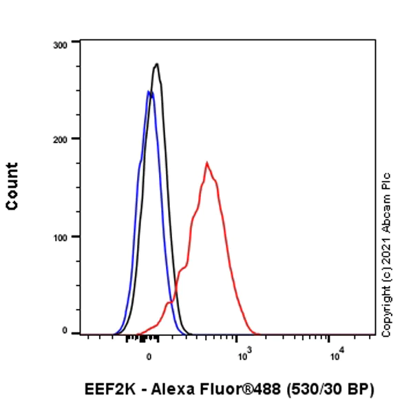 Flow Cytometry (Intracellular) - Anti-EEF2K antibody [EPR24714-88] - BSA and Azide free (AB283706)
