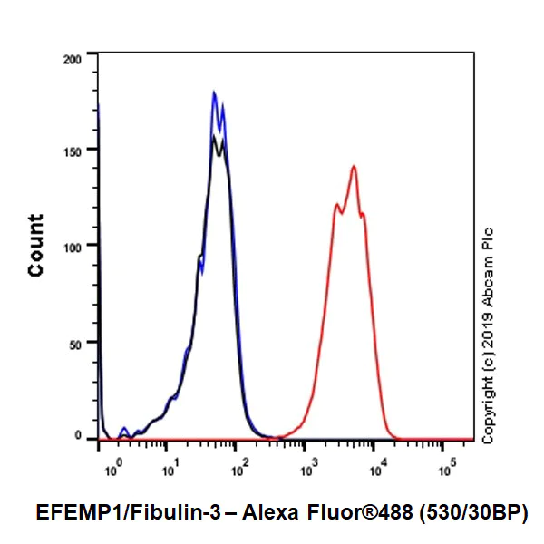 Flow Cytometry (Intracellular) - Anti-EFEMP1/Fibulin-3 antibody [EPR22855-4] (AB256457)