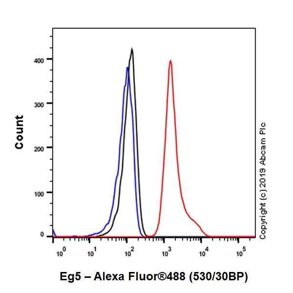 Flow Cytometry (Intracellular) - Anti-Eg5 antibody [EPR23276-52] (ab254298), expandable thumbnail