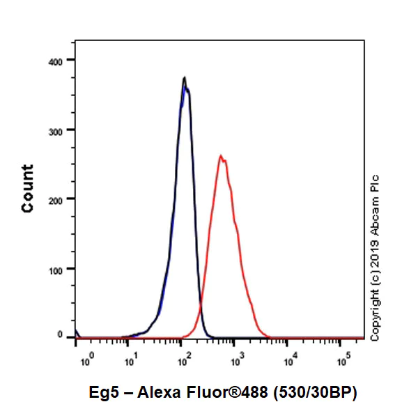 Flow Cytometry (Intracellular) - Anti-Eg5 antibody [EPR23276-52] (AB254298)