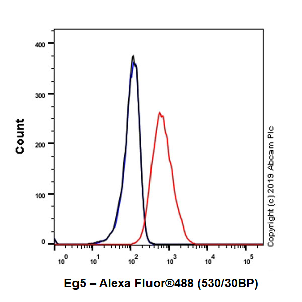 Flow Cytometry (Intracellular) - Anti-Eg5 antibody [EPR23276-52] - BSA and Azide free (AB270754)