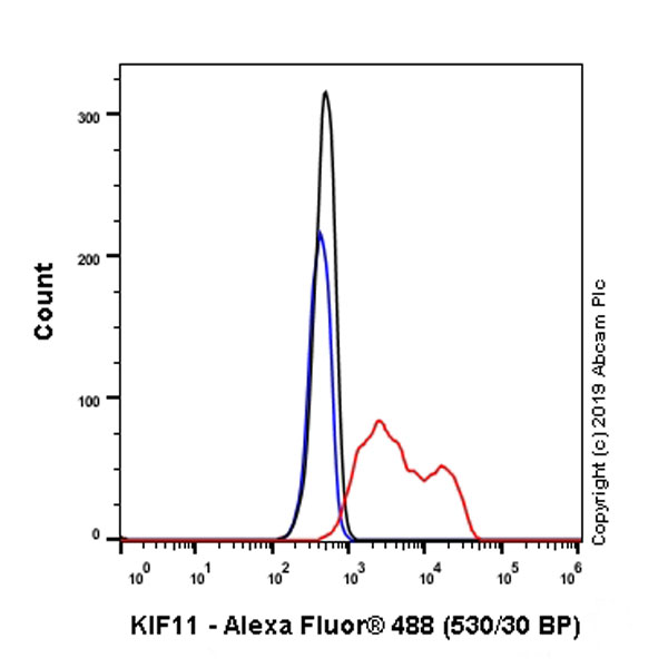 Flow Cytometry (Intracellular) - Anti-Eg5 antibody [EPR23277-60] (AB254299), expandable thumbnail