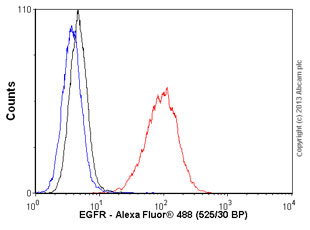 Flow Cytometry - Anti-EGFR antibody [2E9] (AB8465)