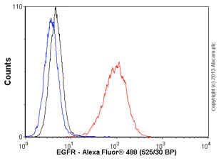 Flow Cytometry - Anti-EGFR antibody [2E9] (AB8465)