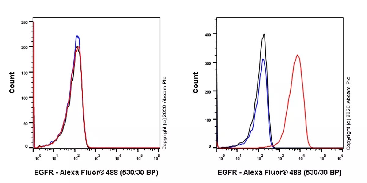 Flow Cytometry - Anti-EGFR antibody [31G7] (AB218383), expandable thumbnail