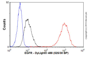 Flow Cytometry (Intracellular) - Anti-EGFR antibody [E235] - BSA and Azide free (AB227459)