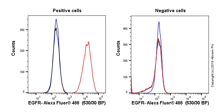 Flow Cytometry - Anti-EGFR antibody [EGFR1] (AB30)