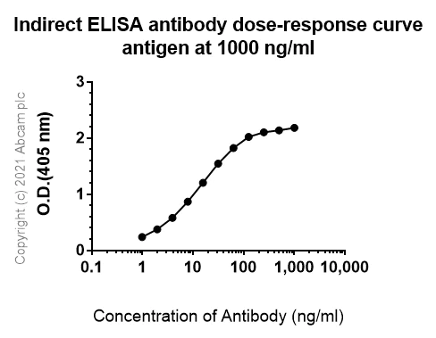 Indirect ELISA - Anti-EGFR antibody [EP38Y] - BSA and Azide free (AB272293)