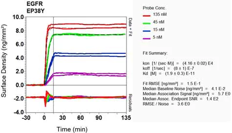 OI-RD Scanning - Anti-EGFR antibody [EP38Y] - BSA and Azide free (AB272293)