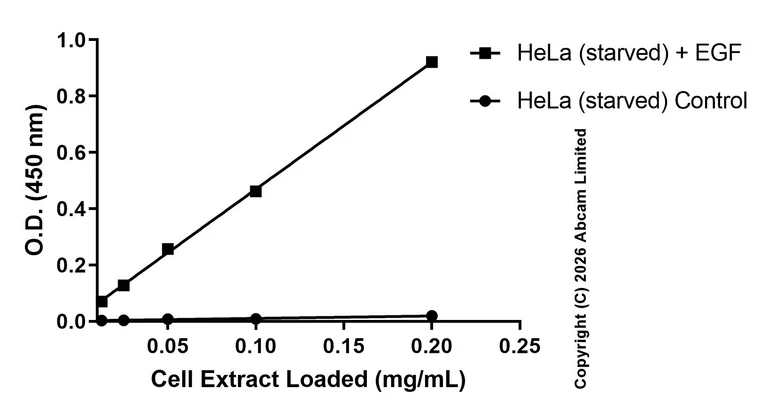 Sandwich ELISA - Anti-EGFR antibody [EPR22309-151] - BSA and Azide free (Capture/Detector) (AB270342)