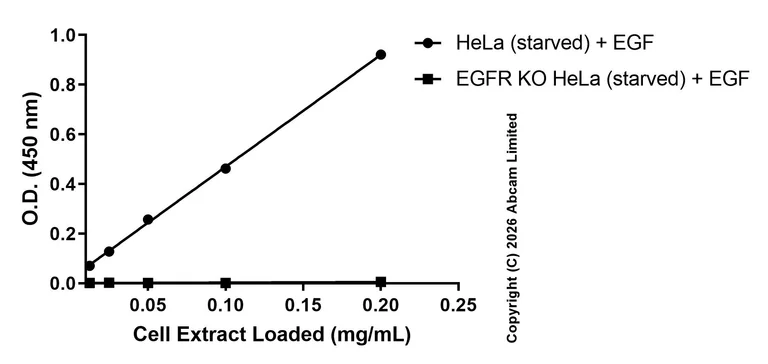 Sandwich ELISA - Anti-EGFR antibody [EPR22309-151] - BSA and Azide free (Capture/Detector) (AB270342)