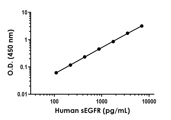 Sandwich ELISA - Anti-EGFR antibody [EPR22309-159] - BSA and Azide free (Detector) (AB270343), expandable thumbnail