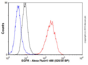 Flow Cytometry (Intracellular) - Anti-EGFR antibody [EPR39Y] - BSA and Azide free (AB239877), expandable thumbnail