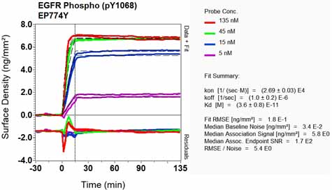 OI-RD Scanning - Anti-EGFR (phospho Y1068) antibody [EP774Y] - BSA and Azide free (ab182618), expandable thumbnail