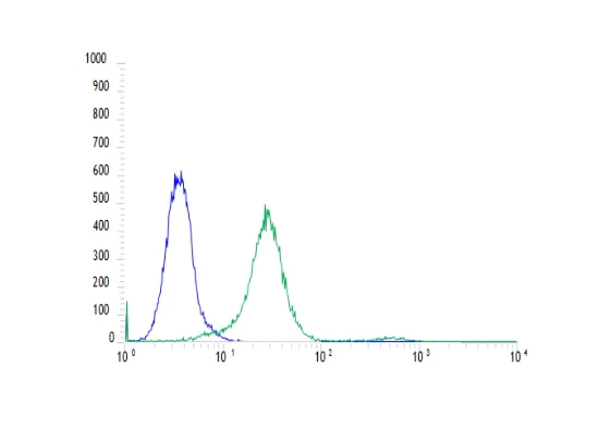 Flow Cytometry - Anti-EGFR (phospho Y1068) antibody [SP353] (AB223499)