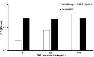 In-Cell ELISA - EGFR (Tyr845) In-Cell ELISA Kit (AB126421), expandable thumbnail