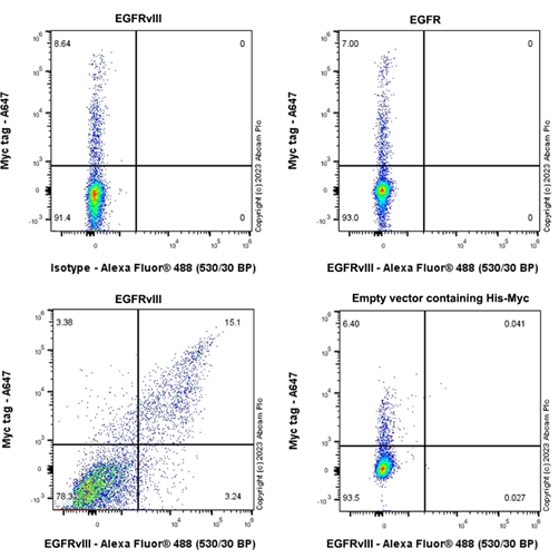 Flow Cytometry (Intracellular) - Anti-EGFRvIII antibody [EPR28380-83] (ab313646), expandable thumbnail
