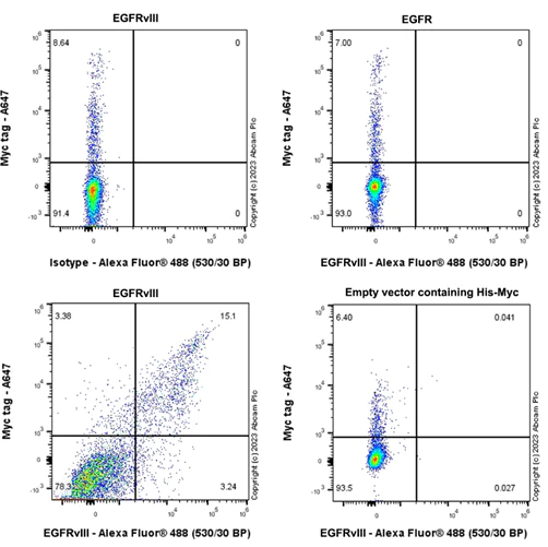 Flow Cytometry - Anti-EGFRvIII antibody [EPR28380-83] - BSA and Azide free (AB313647)