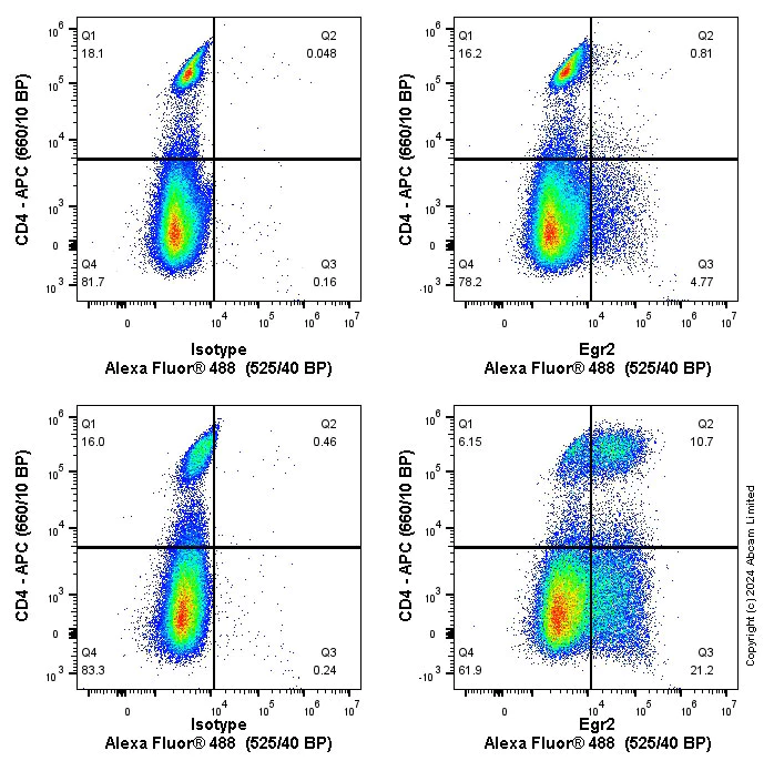 Flow Cytometry (Intracellular) - Anti-EGR2 antibody [EPR23228-40] (AB245228)