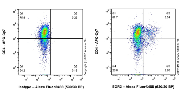 Flow Cytometry (Intracellular) - Anti-EGR2 antibody [EPR23228-40] (AB245228)