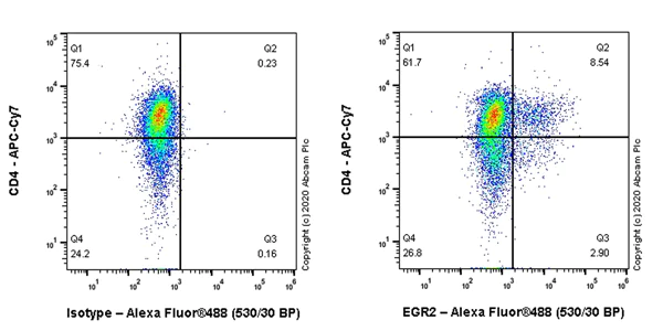 Flow Cytometry (Intracellular) - Anti-EGR2 antibody [EPR23228-40] (AB245228)