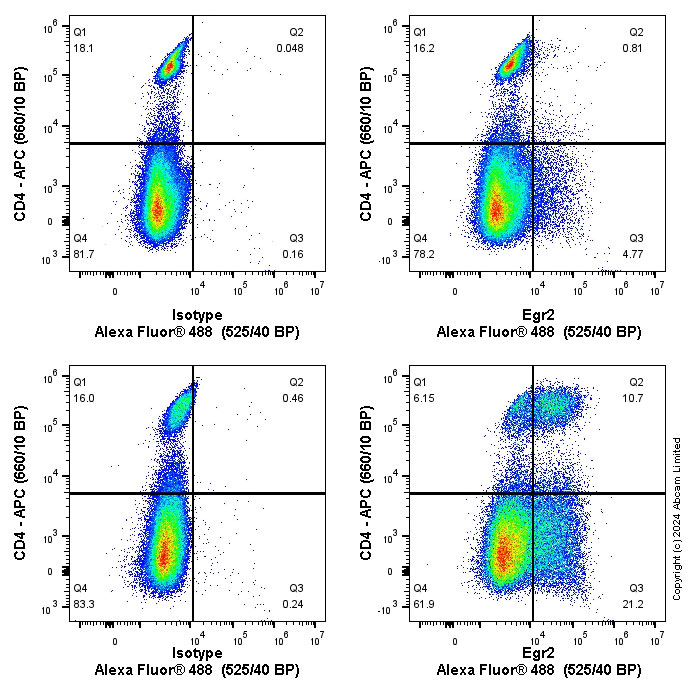 Flow Cytometry (Intracellular) - Anti-EGR2 antibody [EPR23228-40] - BSA and Azide free (AB270755)