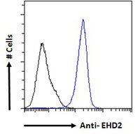 Flow Cytometry (Intracellular) - Anti-EHD2 antibody (AB23935)