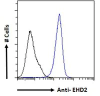 Flow Cytometry (Intracellular) - Anti-EHD2 antibody (AB23935)