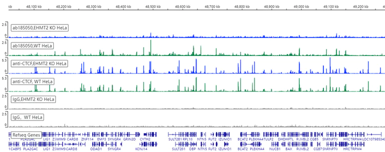 ChIC/CUT&RUN sequencing - Anti-EHMT2/G9A antibody [EPR18894] - ChIP Grade - BSA and Azide free (AB240289)