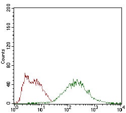 Flow Cytometry - Anti-eIF2A antibody [3A7B11] (AB181467), expandable thumbnail