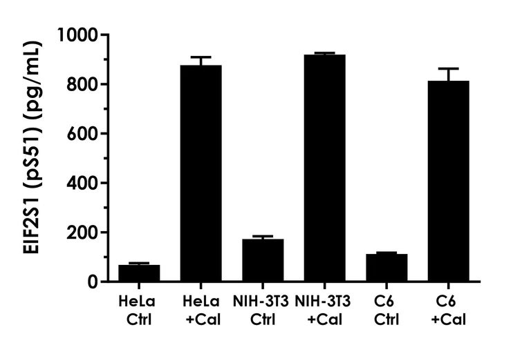 Sandwich ELISA - EIF2S1 ELISA Kit (pS51) (AB282296)
