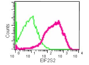 Flow Cytometry (Intracellular) - Anti-EIF2S2/EIF2B antibody [EPR15833(B)] - BSA and Azide free (AB250752), expandable thumbnail