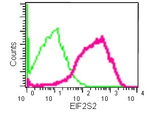 Flow Cytometry (Intracellular) - Anti-EIF2S2/EIF2B antibody [EPR15833(B)] - BSA and Azide free (AB250752)