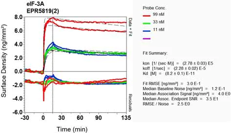 OI-RD Scanning - Anti-eIF3A antibody [EPR5819(2)] (AB128996)