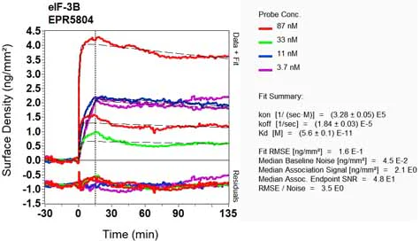 OI-RD Scanning - Anti-eIF3B antibody [EPR5804] (AB133601)