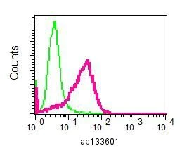 Flow Cytometry (Intracellular) - Anti-eIF3B antibody [EPR5804] - BSA and Azide free (AB238921)