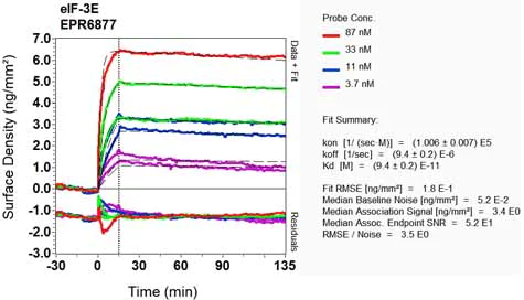 OI-RD Scanning - Anti-eIF3e antibody [EPR6877] (AB125033)