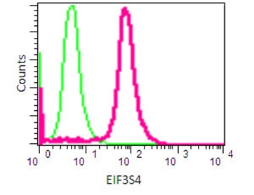 Flow Cytometry (Intracellular) - Anti-eIF3g antibody [EPR16146] - N-terminal (AB191422)