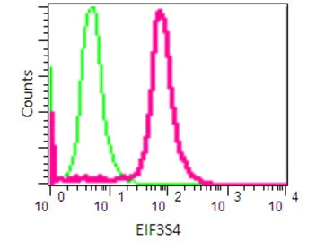 Flow Cytometry (Intracellular) - Anti-eIF3g antibody [EPR16146] - N-terminal (AB191422)