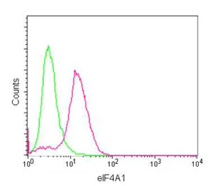 Flow Cytometry (Intracellular) - Anti-eIF4A1 antibody [EPR14505(B)] - N-terminal (AB180506)