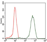 Flow Cytometry - Anti-eIF4B antibody [1F5] (AB129369)