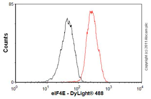 Flow Cytometry (Intracellular) - Anti-eIF4E antibody [Y448] (AB33766)