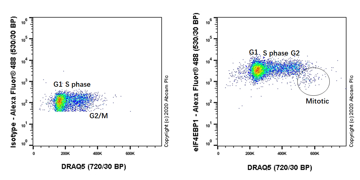 Flow Cytometry (Intracellular) - Anti-eIF4EBP1 antibody [Y330] (AB32130), expandable thumbnail