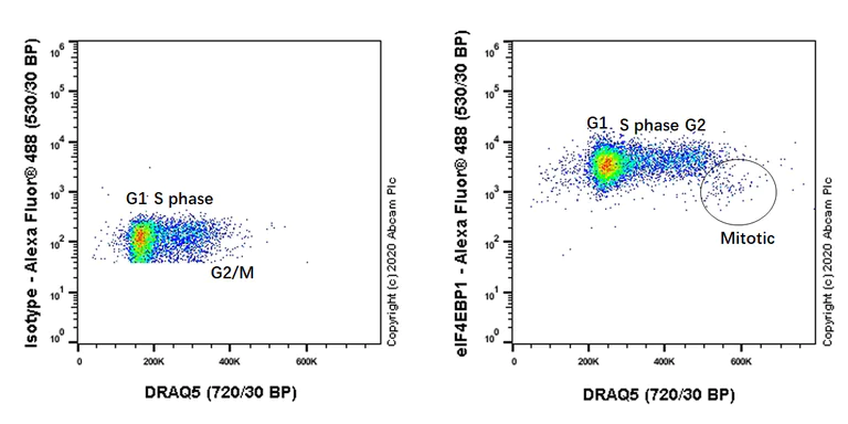 Flow Cytometry (Intracellular) - Anti-eIF4EBP1 antibody [Y330] - BSA and Azide free (AB173322)