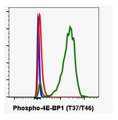 Flow Cytometry - Anti-eIF4EBP1 (phospho T37 + T46) antibody [4EB1T37T46-A5] (AB278686)