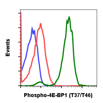 Flow Cytometry - Anti-eIF4EBP1 (phospho T37 + T46) antibody [4EB1T37T46-A5] (AB278686)