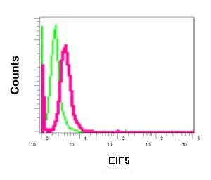 Flow Cytometry (Intracellular) - Anti-EIF5 antibody [EPR12140(B)] - BSA and Azide free (AB249587)