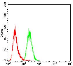 Flow Cytometry - Anti-eIF5A antibody [4E10F6] (AB204939), expandable thumbnail